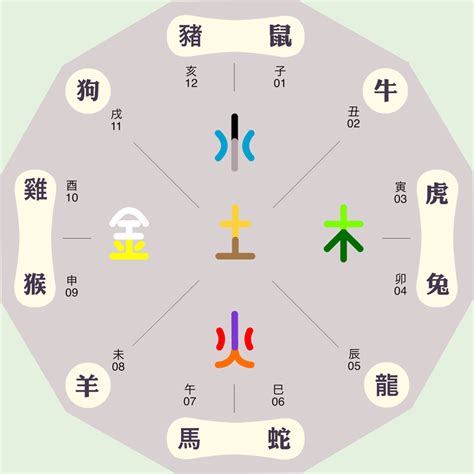 子五行属什么|子字的五行属性